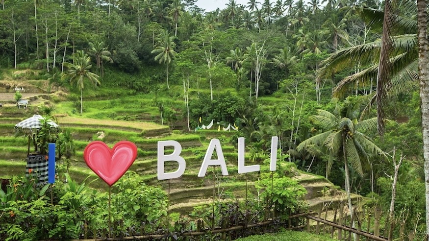 Bali I Love Bali Green Rice Terraces