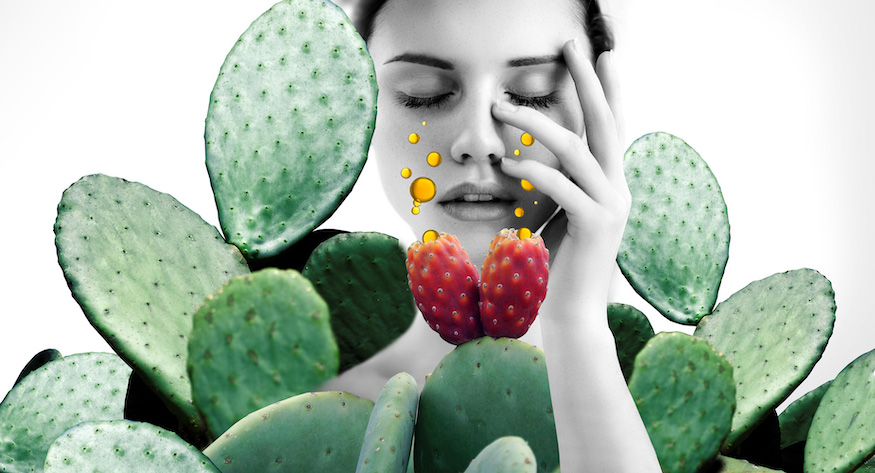 Bepure Natural Vegan Cosmetics Prickly Pear