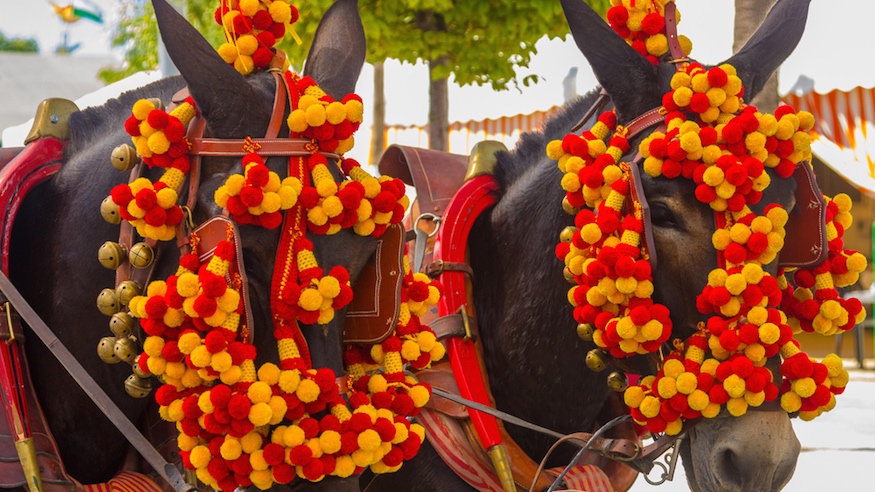 Andalouisie Feria Horses
