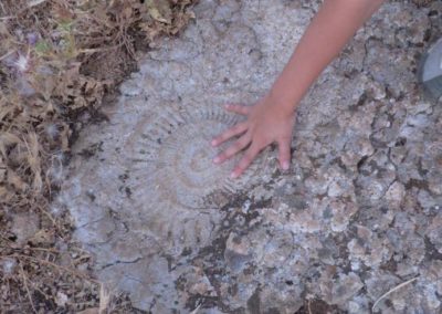 Andalousie Torcal de Antequera Fossils