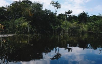 Geburtstagsgeschenk? Überraschungsreise in den Amazonas!