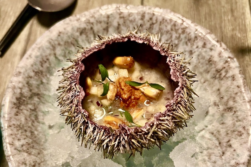 Yakumanka Geneva Sea Urchin Plated