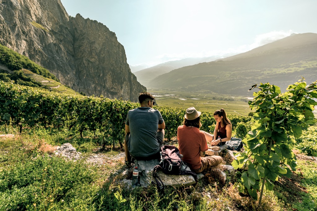 Swiss Wine Regions-Producers Switzerland Tourism Chamoson Vineyard
