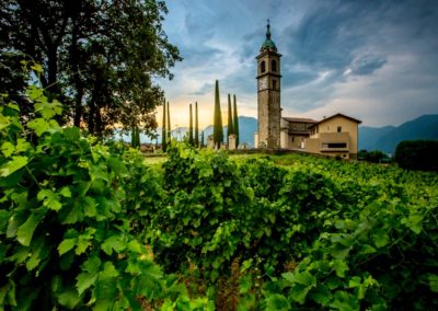 Swiss Wine Regions Ticino Switzerland Tourism Montagnola Church of Sant Abbondio