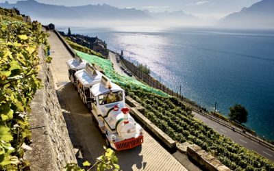 Schweizer Wein: Regionen und coole Produzenten
