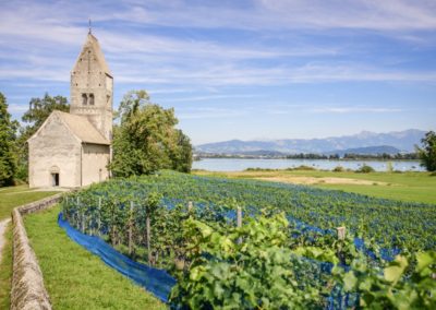 Swiss Wine Regions Zurich Switzerland Tourism Island Paradise Ufenau