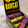 RAWCAT Bar Pineapple Coconut Snack Box