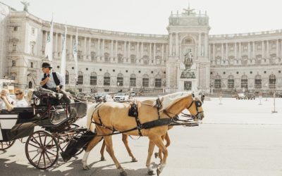 Travel Guide: Cool things to see and do in Vienna