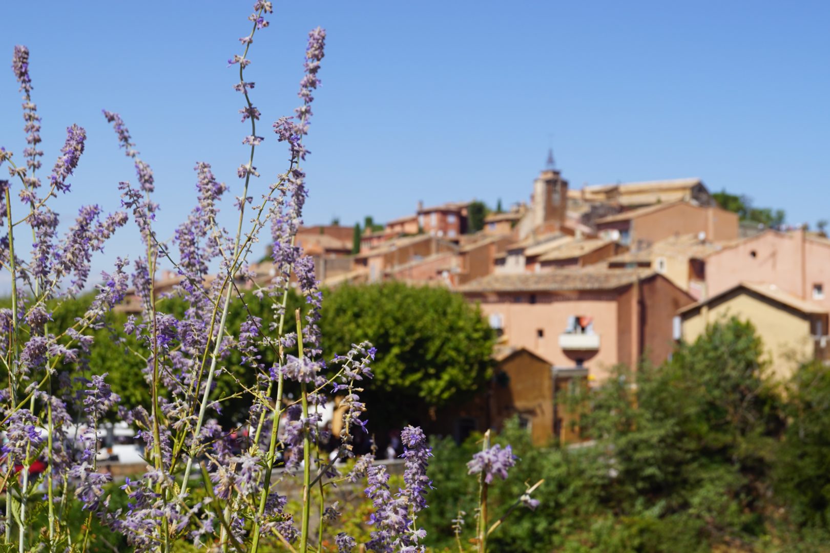 Provence Roussillon Auriane Clement