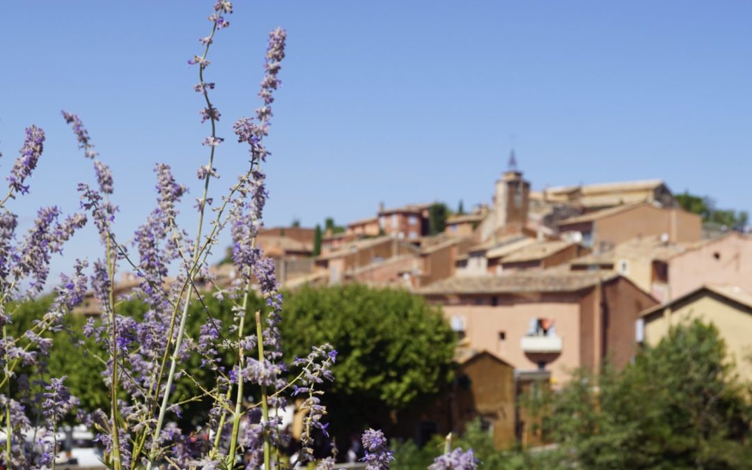 Destination: Provence, Home of the Rosé