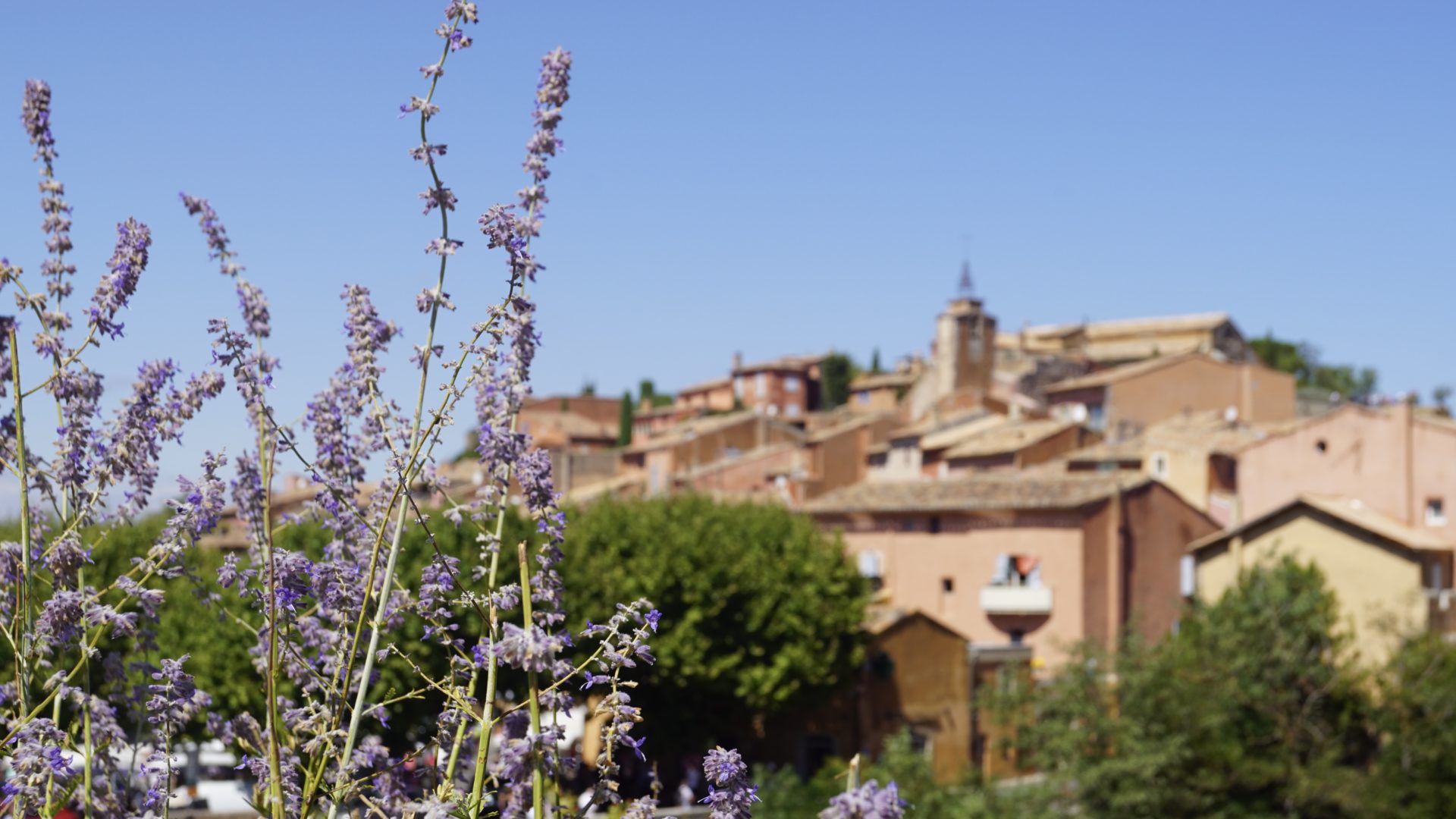 Provence Roussillon Auriane Clement