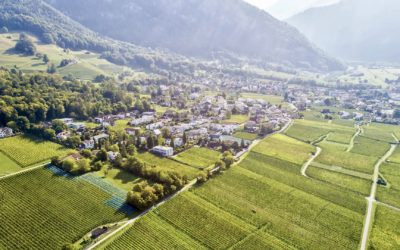 Bezaubernde Weinberge von Malans: Schweizer Exzellenz im Weinbau