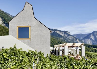 Malans Vineyards Swiss Wine Weineberge Schweiz Alter Torkel