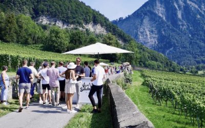 Cool Event für Weinliebhaber: Malanser Weinpromenade