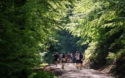 Rennsteiglauf: Europe’s Most Legendary Trail Run