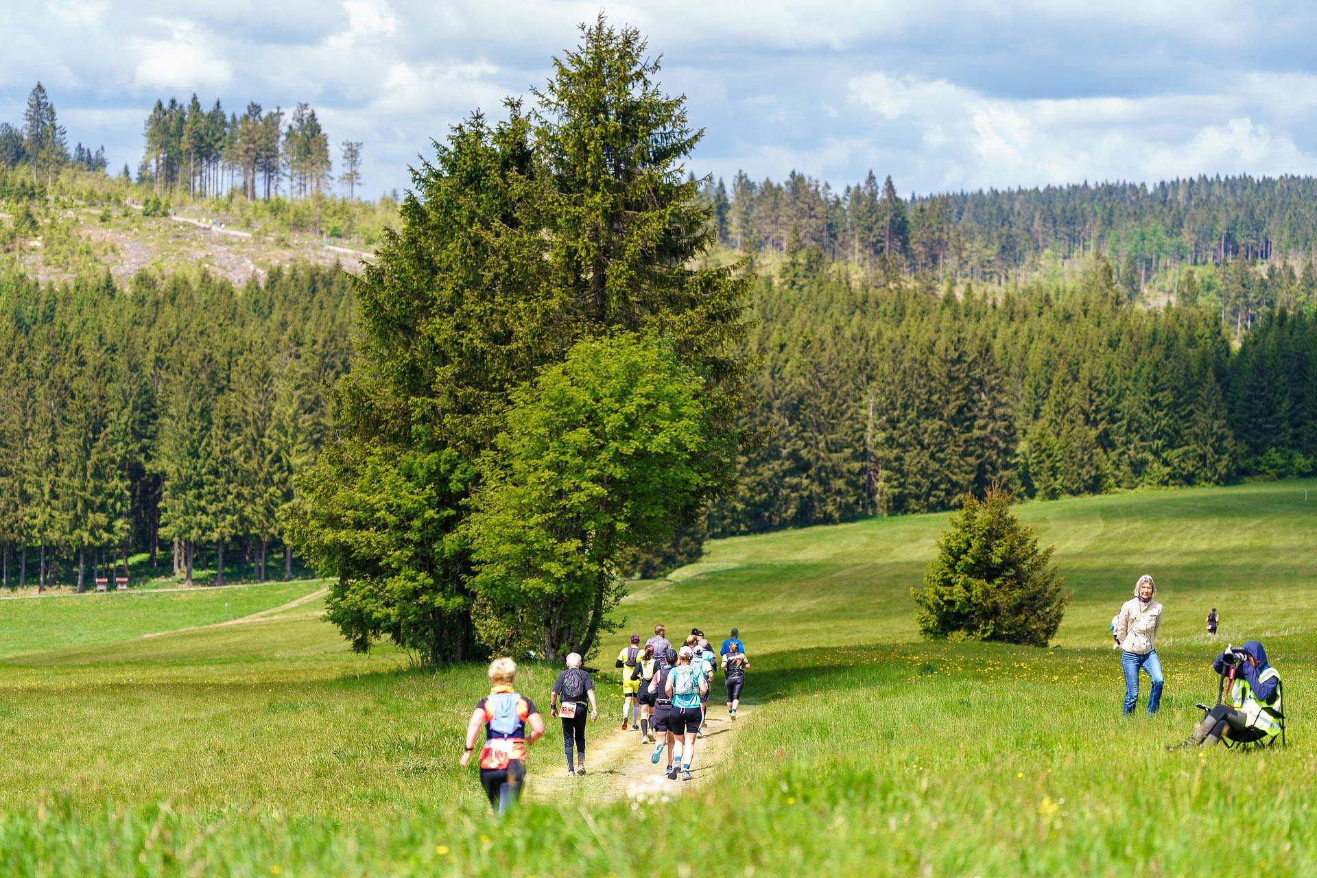 Rennsteiglauf Oberhof w2photo Abundant Nature